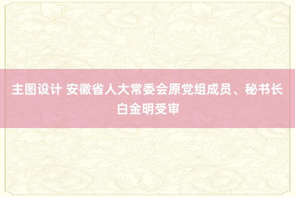 主图设计 安徽省人大常委会原党组成员、秘书长白金明受审