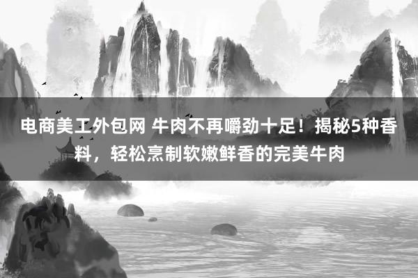 电商美工外包网 牛肉不再嚼劲十足！揭秘5种香料，轻松烹制软嫩鲜香的完美牛肉