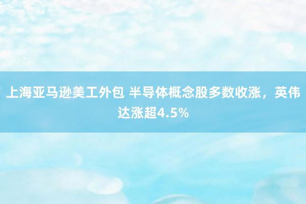 上海亚马逊美工外包 半导体概念股多数收涨，英伟达涨超4.5%