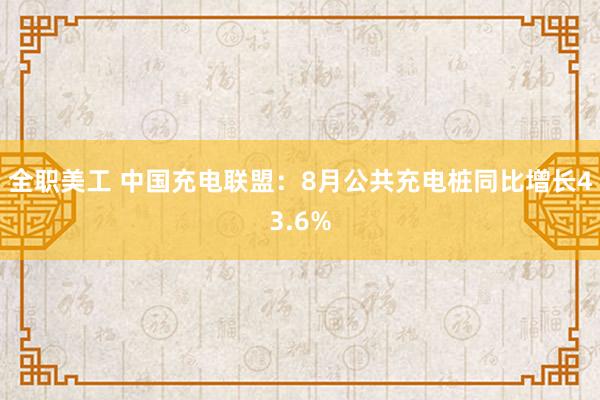 全职美工 中国充电联盟：8月公共充电桩同比增长43.6%