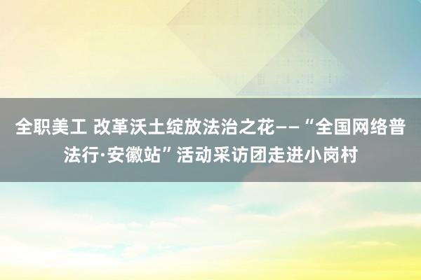 全职美工 改革沃土绽放法治之花——“全国网络普法行·安徽站”活动采访团走进小岗村